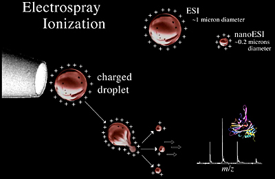 Diagram of ESI mechanics