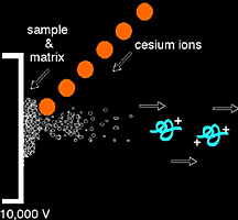 Diagram of FAB method