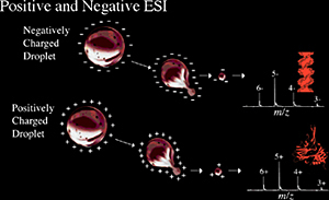 Image of mass spectra