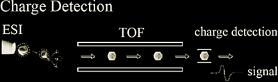 Diagram showing charge detection at the end of the mass spectrometer chain