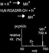 Ionization Scheme Diagram