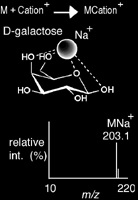 Ionization Scheme Diagram